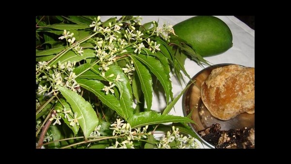 ನೂತನ ವರ್ಷದ ಪ್ರಾರಂಭ ಯುಗಾದಿ ಹಬ್ಬ 