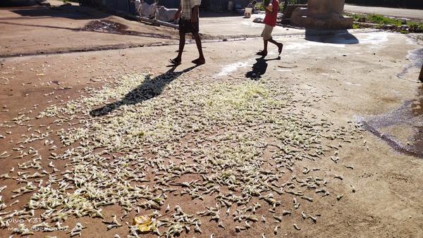 ಕೊರೊನಾ ಲಾಕ್ಡೌನ್ ತಣ್ಣೀರೆರಚಿದೆ ಕೊರೊನಾ ಲಾಕ್ಡೌನ್ ತಣ್ಣೀರೆರಚಿದೆ