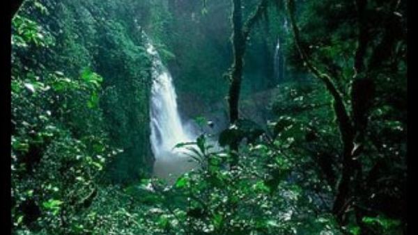 ಜೀವ ವೈವಿಧ್ಯವನ್ನು ನಾಶ ಮಾಡಿಸುವ ಅಭಿವೃದ್ಧಿ
