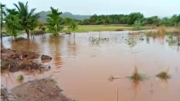 Chitradurga: Taluk Hobli level Rain record as on May 12 Chitradurga: Taluk Hobli level Rain record as on May 12