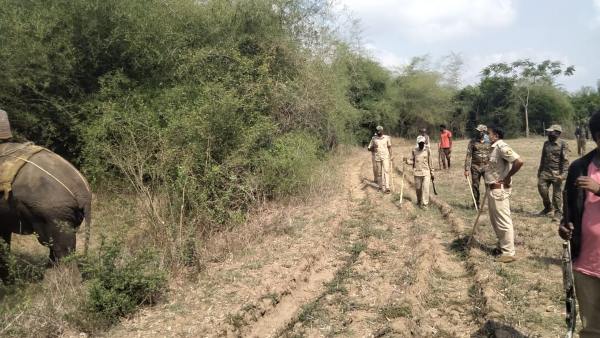 ಆನೆಗಳ ಸಹಾಯದಿಂದ ಕಾರ್ಯಾಚರಣೆ