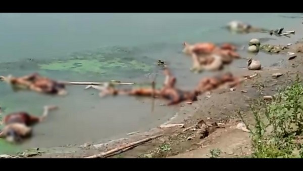 ಬಕ್ಸಾರ್ ಜಿಲ್ಲಾಡಳಿತದ ಆರೋಪವೇನು?