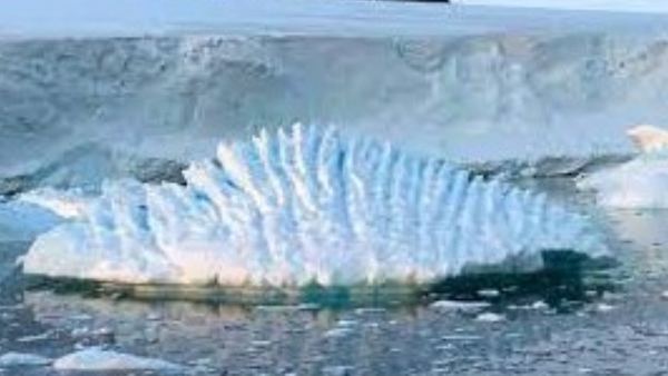  ಇಂಡೋನೇಷ್ಯಾಗೆ ಕಂಟಕ