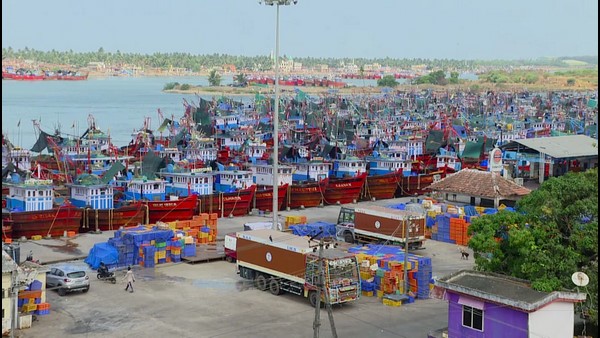 Ban On Fishing Imposed In Karnataka For 2 Months