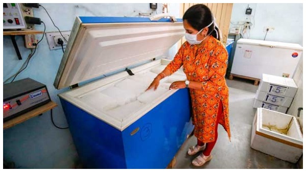 ಸಾಮಾನ್ಯ ಫ್ರಿಡ್ಜ್ ನಲ್ಲಿ ಲಸಿಕೆ ಸಂಗ್ರಹಿಸಿದರೆ ಅಡ್ಡ ಪರಿಣಾಮ 