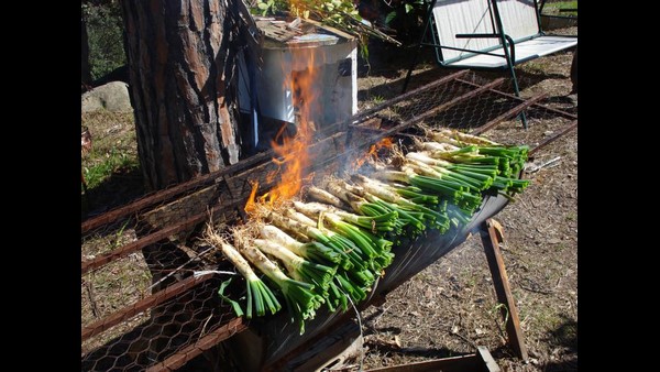 Barcelona Memories Column By Rangaswamy Mookanahalli Part 32