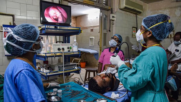 ಬಿಳಿ ಶಿಲೀಂಧ್ರದ ಲಕ್ಷಣಗಳು 