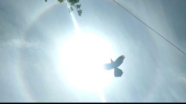 ಇದು ಸೂರ್ಯನ ಸುತ್ತಾ ಮಾತ್ರ ಕಾಣುವುದೇ? 