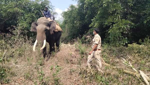 ಗುಂಪುಗೂಡುವ ಜನ