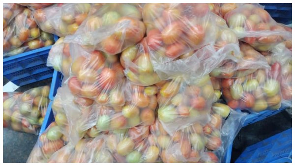 17 ಕೆ.ಜಿ ಟೊಮೆಟೊಗೆ 3 ರೂ! 17 ಕೆ.ಜಿ ಟೊಮೆಟೊಗೆ 3 ರೂ!