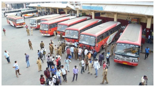 High Court instructs to submit an investigation report on the loss caused by the strike by the transport workers High Court instructs to submit an investigation report on the loss caused by the strike by the transport workers