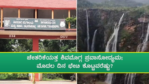  ಜೋಗಕ್ಕೆ ದೂರದೂರುಗಳಿಂದ ಪ್ರವಾಸಿಗರು