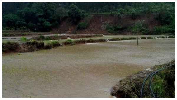 124.80 ಅಡಿ ಸಾಮರ್ಥ್ಯದ ಕೆಆರ್‌ಎಸ್