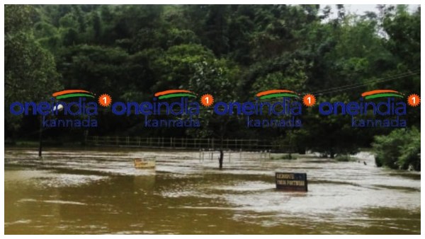 ಗರಿಗೆದರಿದ ಭತ್ತದ ಕೃಷಿ ಚಟುವಟಿಕೆ