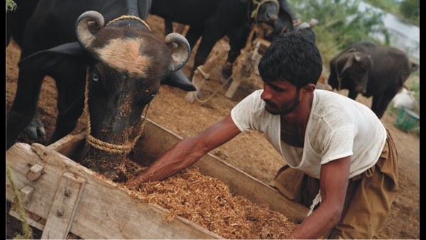 ಇತರರಿಗೂ ಸೋಂಕು ಹರಡುವ ಸಾಧ್ಯತೆ