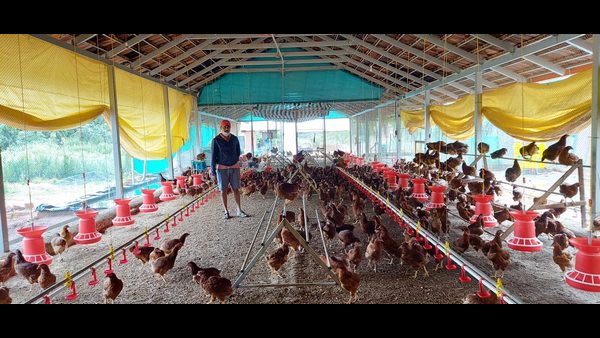 ಪ್ರತಿ ಮೊಟ್ಟೆಗೆ 10 ರೂಪಾಯಿಗಳ ಬೆಲೆ