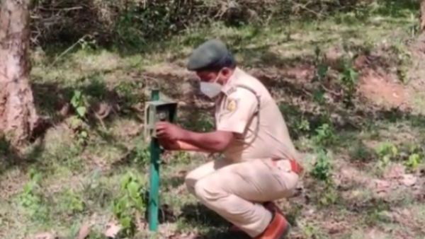  ಪ್ರತಿ 100 ಚದರ ಕಿ.ಮೀಗೆ 12 ಹುಲಿಗಳು