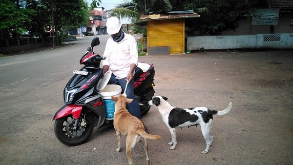 Puttur City Municipal Council Member Feeding Food For Stray Dogs Puttur City Municipal Council Member Feeding Food For Stray Dogs