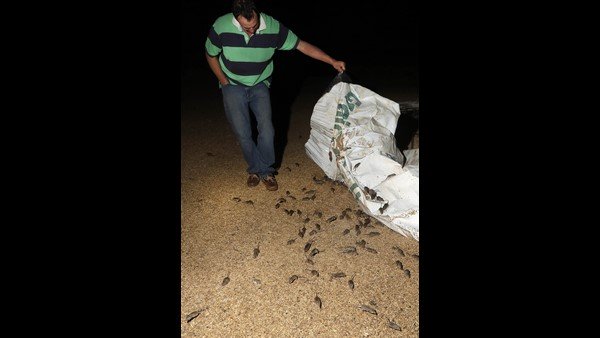 ವಿಷಕ್ಕಾಗಿ ಭಾರತಕ್ಕೆ ಮನವಿ..!