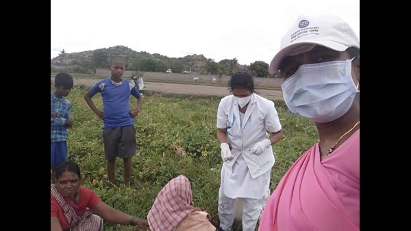 ಹೊಲಗಳಲ್ಲಿ ಕೊರೊನಾವೈರಸ್ ಲಸಿಕೆ ವಿತರಣೆ