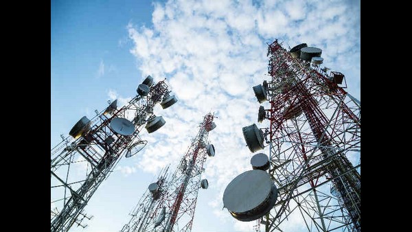 ಮರವನ್ನೇರಿದ ವಿಡಿಯೋ ವೈರಲ್