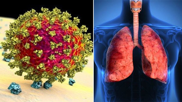  ರಾಷ್ಟ್ರೀಯ ತಾಂತ್ರಿಕ ಸಲಹಾ ಸಮಿತಿ ಮುಖ್ಯಸ್ಥ ಅರೋರಾ ಮಾಹಿತಿ