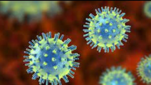 ಉತ್ತರ ಕನ್ನಡ ಹಾಗೂ ರತ್ನಗಿರಿ ಭಾಗದಲ್ಲಿ ಮತ್ಸ್ಯೋದ್ಯಮ