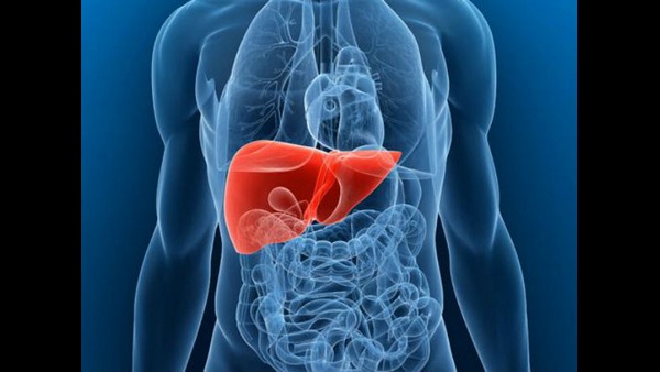  ಬ್ರೈನ್ ಡೆಡ್ ಆದಾಗ ಅಂಗಾಂಗ ದಾನ ಹೇಗೆ?