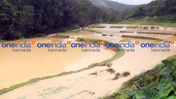 ಜಿಲ್ಲೆಯಲ್ಲಿ ಪಾಳುಬಿದ್ದ ಗದ್ದೆ ಬಯಲುಗಳಿವೆ