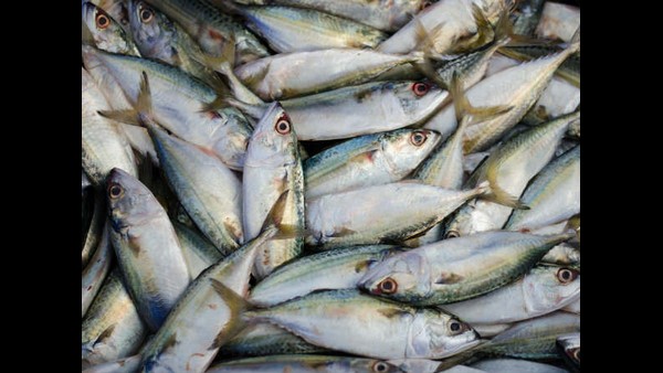  ಮೀನು ಸೇವನೆ ತುಂಬಾ ಒಳ್ಳೆಯದು