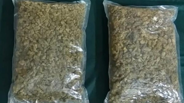 1 Kg Ganja Seized Doctor Arrested By Police At Dakshina Kannada