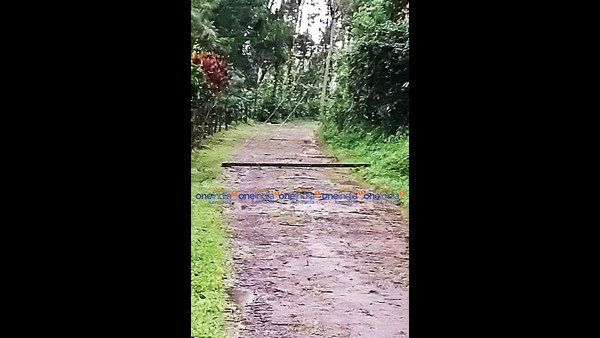 ಹೋಬಳಿವಾರು ದಾಖಲಾಗಿರುವ ಮಳೆ ವಿವರ 