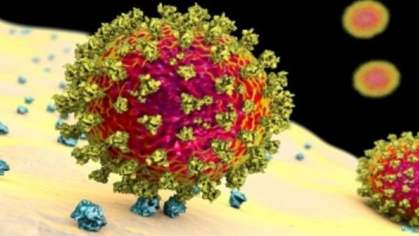 ಹೊಸ ರೂಪಾಂತರ ತಳಿಯ ಸಂಯೋಜನೆ ಹೇಗೆ? 