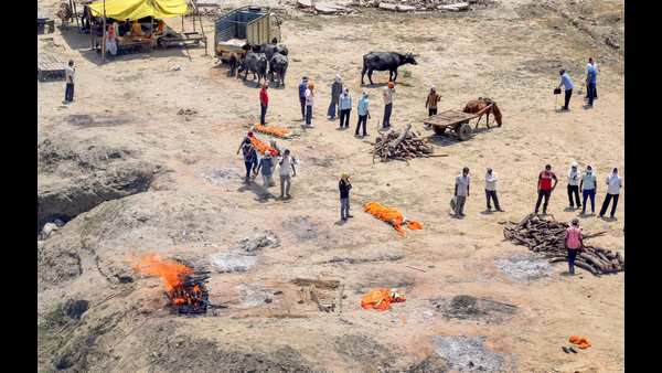 ಗಂಗಾ ನದಿಯಲ್ಲಿ ನೂರಕ್ಕೂ ಹೆಚ್ಚು ಶವಗಳು ಅನಾಥವಾಗಿ ನಡಿ ದಂಡೆಯಲ್ಲಿ ಗಂಗಾ ನದಿಯಲ್ಲಿ ನೂರಕ್ಕೂ ಹೆಚ್ಚು ಶವಗಳು ಅನಾಥವಾಗಿ ನಡಿ ದಂಡೆಯಲ್ಲಿ