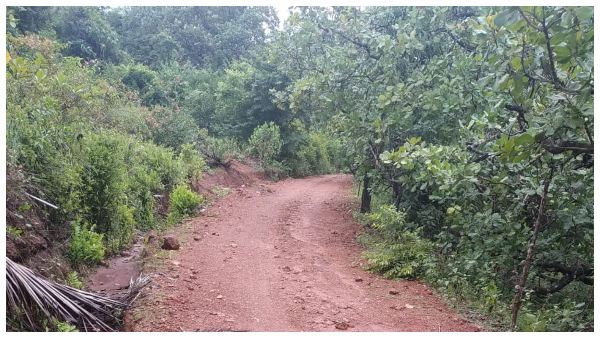  ವಿದ್ಯುತ್ ಸಂಪರ್ಕದ ಸಮಸ್ಯೆ