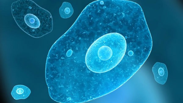 ಜ್ವರ, ವಾಂತಿ, ತಲೆನೋವು 