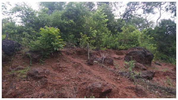  ಅಂತರ್ಜಾಲ ಸಂಪರ್ಕದ ಸಮಸ್ಯೆ