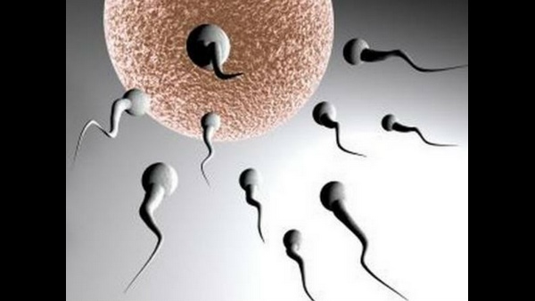  ವೀರ್ಯ ಸಂಖ್ಯೆ ತಗ್ಗುವ ಆತಂಕ ವ್ಯಕ್ತಪಡಿಸಿದ್ದ ಅಧ್ಯಯನ