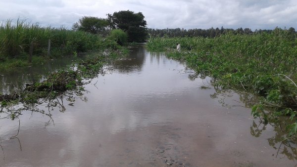 ನಾಲ್ಕು ವರ್ಷಗಳಿಂದ ನಿಲ್ಲದ ಪ್ರವಾಹ ಪರಿಸ್ಥಿತಿ
