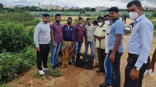 ಲಕ್ಷ್ಮೀ ಎಂಬ ಇಂಟಲಿಜೆಂಟ್ 
