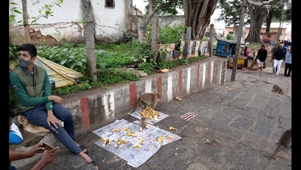  ದ್ವಾರ ಮುಚ್ಚಿದರೂ ನುಸುಳಿ ಮೆಟ್ಟಿಲೇರುವ ಭಕ್ತರು