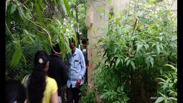  ನೆಮ್ಮದಿಯುಸಿರು ಬಿಟ್ಟ ಕೋತಿಗಳ ಪರಿವಾರ