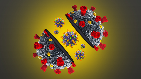  ಡೆಲ್ಟಾ ವಿರುದ್ಧ ಹೋರಾಡಲು ಯಾವ್ಯಾವ ಲಸಿಕೆಗಳು ಇವೆ?