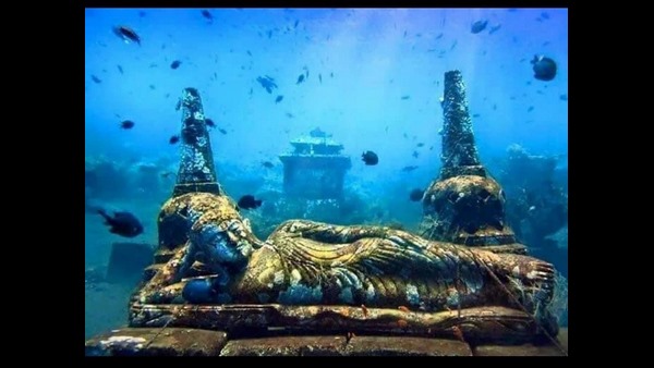 ಟರ್ಲಿ ಮಾಲೀಕ ಬರೆದ ಪೋಸ್ಟ್ ನಲ್ಲಿ ಏನಿದೆ? 