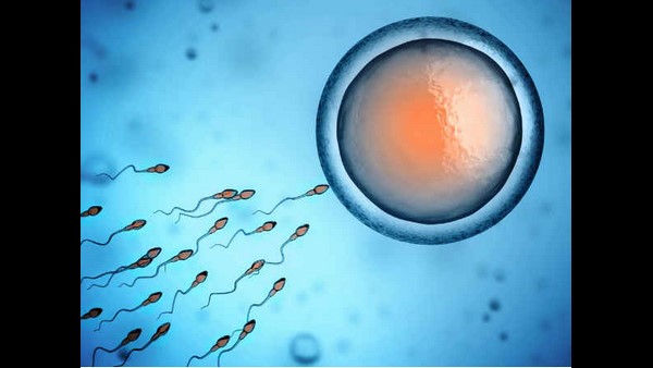 ಪತಿಯ ಜೀವಕ್ಕೆ 24 ಗಂಟೆಗಳ ಗಡುವು ನೀಡಿದ ವೈದ್ಯರು 