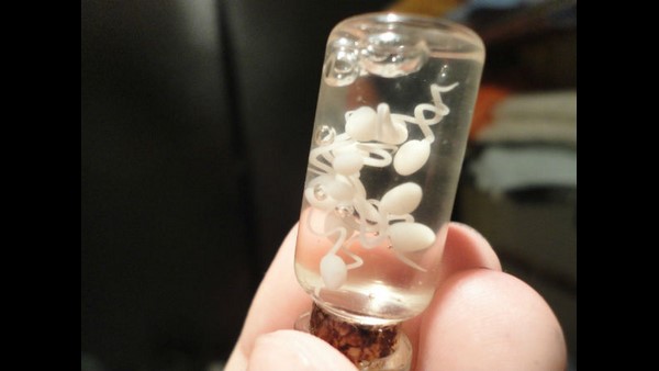 ಸ್ಟೆರ್ಲಿಂಗ್ ಆಸ್ಪತ್ರೆ ಮುಖ್ಯಸ್ಥರು ಹೇಳುವುದೇನು? 