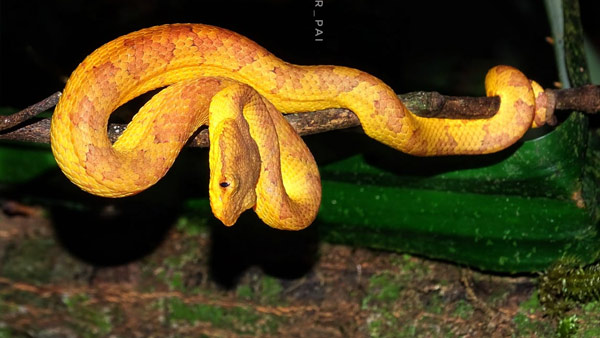 ಜನರಲ್ಲಿ ಜಾಗೃತಿ ಮೂಡಿಸಿದ ಪುಸ್ತಕ 