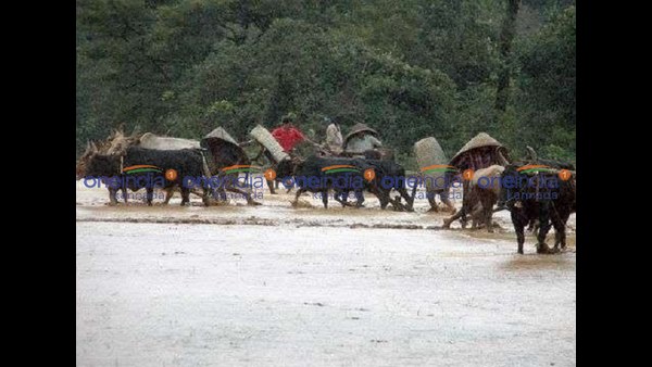 ಒಯ್ಯ ಹಾಕುವುದರಲ್ಲೊಂದು ಮಜಾ ಒಯ್ಯ ಹಾಕುವುದರಲ್ಲೊಂದು ಮಜಾ