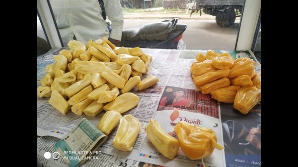 ಮೂಳೆಗಳನ್ನು ಬಲಪಡಿಸಲು ಸಹಕಾರಿ 