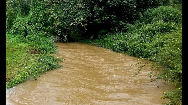 ಜನವರಿಯಿಂದ 1184.24 ಮಿ.ಮೀ ಮಳೆ